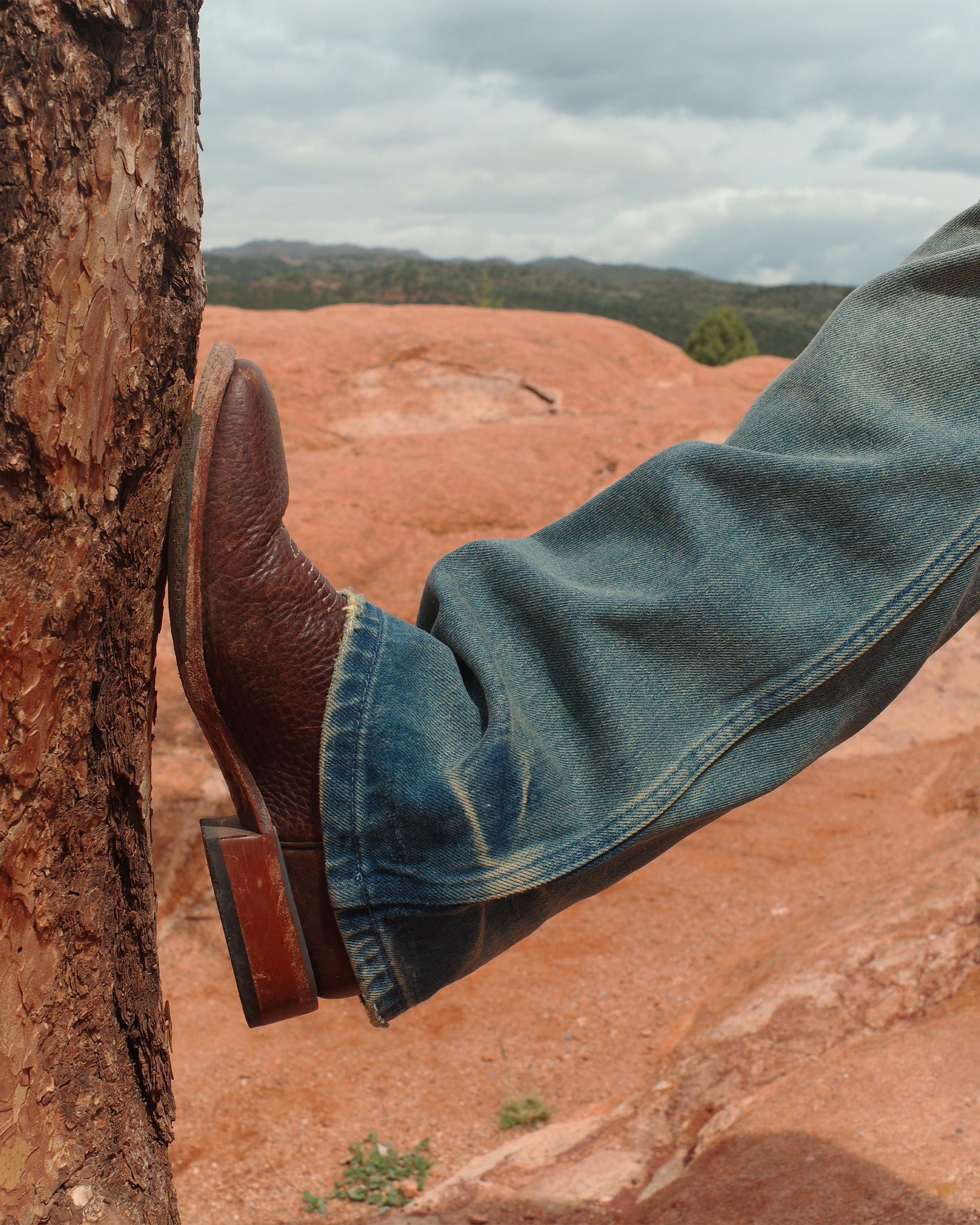 CIGARETTE BOOTCUT DENIM [BRUISED]